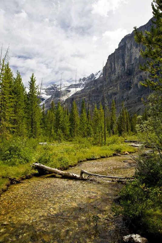 hike to the stanley glacier bc canada.jpg